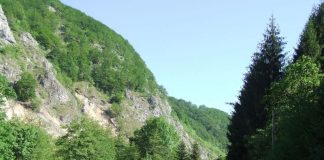 Prin țara Jiului de Sus în crucea verii (II)