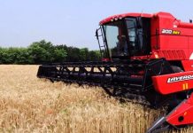 Agricultura pe înțelesul tuturor – Graficul lucrărilor agricole în luna iulie