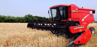 Agricultura pe înțelesul tuturor – Graficul lucrărilor agricole în luna iulie