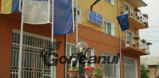 Primăria Ţânţăreni angajează un inspector asistent