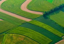 Puțină agrometeorologie