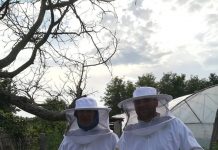 Jandarmii, chemați să alunge mai mulți gărgăuni