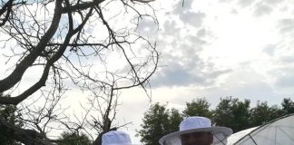 Jandarmii, chemați să alunge mai mulți gărgăuni