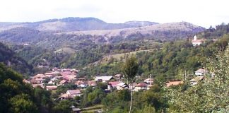 Prin Ţara Jiului De Sus – Pădurea de castani comestibili de la Tismana