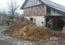 Agricultura pe înțelesul tuturor – Gunoiul de grajd – o comoară a fermierilor