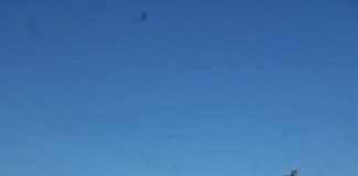 Tânără de 19 ani, rănită în accident la Scoarța