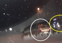 I-AM PRINS! TIR-uri cu lemn de pe Valea Sohodolului, fără avize, pe sub nasul polițiștilor. IPJ: Verificăm și aplicăm măsuri legale!