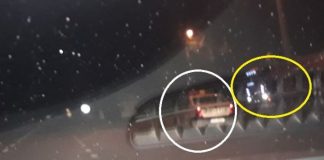 I-AM PRINS! TIR-uri cu lemn de pe Valea Sohodolului, fără avize, pe sub nasul polițiștilor. IPJ: Verificăm și aplicăm măsuri legale!