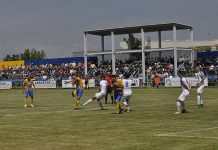 Bogoi are încredere în panduri: “Au şanse să evolueze la nivel înalt”