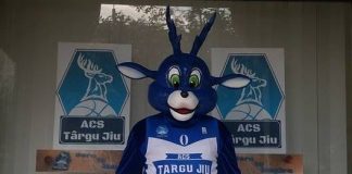 ACS Târgu Jiu, provocare pentru fani