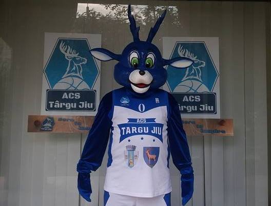 38843089_215135012497672_7214361553271783424_n