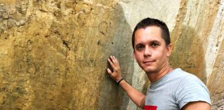 Desene rupestre de pe Cheile Sohodolului, fotografiate de istoricul Andrei Popete Pătrașcu