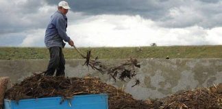 Gunoiul de grajd – o comoară a fermierilor