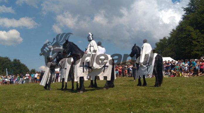 Manifestări în Poiana lui Mihai, de la Schela