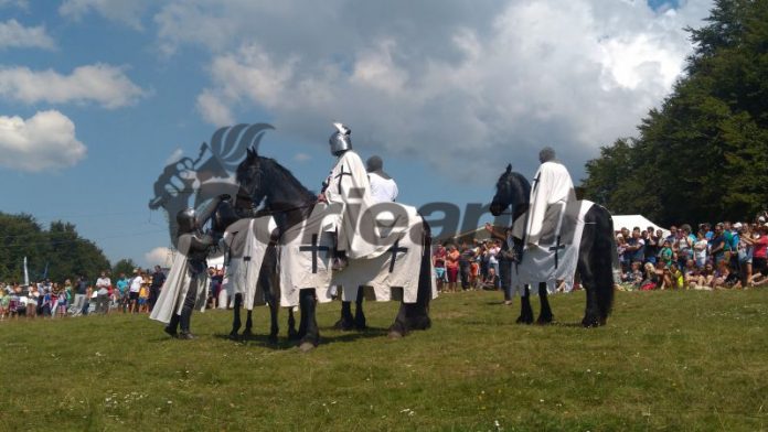 Poiana lui Mihai (2)