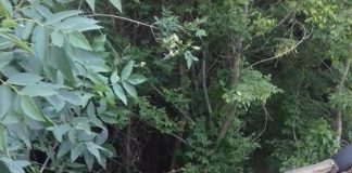 Accident la Copăcioasa! Trei persoane, între care un copil, au fost rănite