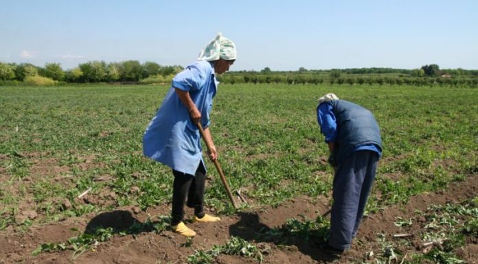 Ministrul Agriculturii: “Cei sănătoşi, la câmp!”