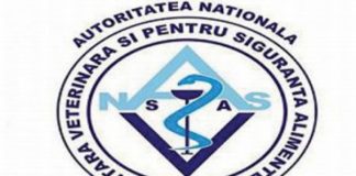 După sperietura pestei porcine africane – DSVSA Gorj, în prima linie la prevenirea apariției pestei micilor rumegătoare