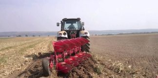 Dacă toamna va fi timpurie și scurtă – Cum punem bazele viitoarelor culturi?