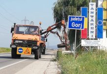 Drumarii cosesc ambrozia de pe marginea drumurilor naționale