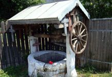 Verificarea apelor din fântâni, datoria primăriilor