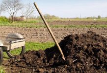 Agricultura pe înţelesul tuturor – Gunoiul de grajd – o comoară a fermierilor