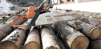 A început sezonul furturilor de lemne