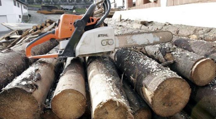 Bărbat prins cu un autocamion cu lemne fără documente. DECIZIA oamenilor legii