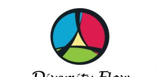 Participanți din cinci țări la a doua activitate a Proiectului Diversity Flow
