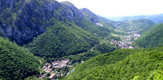 Mărci poștale cu exemplare din Parcul Natural Domogled-Valea Cernei