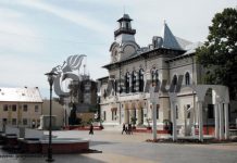 Concurs pentru un post de director executiv în cadrul CJ Gorj