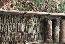 Trei proiectile din Primul Război Mondial, descoperite în Poiana lui Mihai