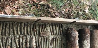 Trei proiectile din Primul Război Mondial, descoperite în Poiana lui Mihai