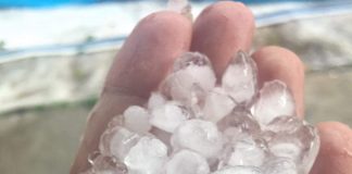 Grindina cât oul de porumbel a făcut ravagii la Scoarța! Strugurii, primii căzuți la pământ