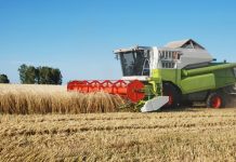 Semne bune privind recolta de cereale din judeţ