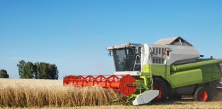 Semne bune privind recolta de cereale din judeţ