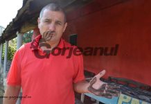 Negreală, zgomot, miros respingător și boală! – Poluare mult peste limite, suportată de locuitorii satului Roșiuța! Garda de Mediu a mângâiat CEO doar cu o sancțiune contravențională