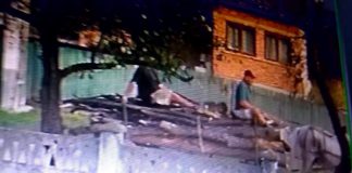 Localnicii din Lihulești, terorizați de un consătean-hoț de lemne! Infractorul, filmat cu căruța plină, polițiștii dau din umeri