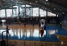 Victorii la handbal şi baschet