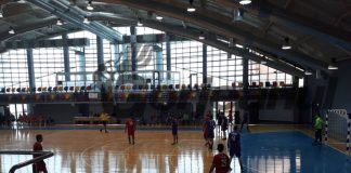 Victorii la handbal şi baschet