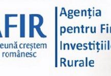 Se caută director la OJFIR Gorj!