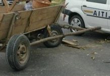 Căruțaș mort în urma unui accident rutier, la Ciuperceni