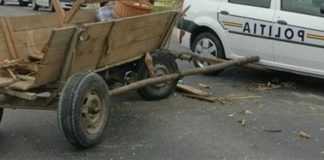 Căruțaș mort în urma unui accident rutier, la Ciuperceni