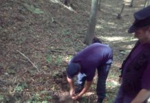 FOTO: Muniţie de război, descoperită în Gorj