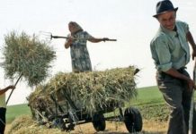 Gorjul, în topul valorii plăților pensionarilor agricultori