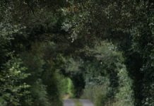 Poliția vă sfătuiește: „Învăţaţi-vă copilul ce să facă dacă se rătăceşte”