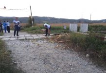 Accident pe calea ferată! Un căruțaș a murit pe loc