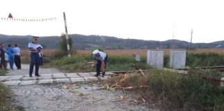 Accident pe calea ferată! Un căruțaș a murit pe loc