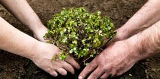 Negomirul, gazda județului în proiectul ”Plantăm fapte bune în România”