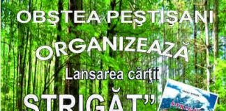 Eveniment de importanță istorică, în anul Centenarului Marii Uniri, la Obștea Peștișani – Artistul total Dan Puric a onorat lansarea cărții STRIGĂT, de Sergiu Mischie!